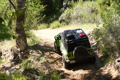 DSC_5911 (Large).JPG